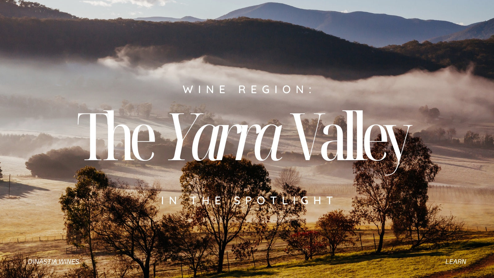 Wine Region: Yarra Valley