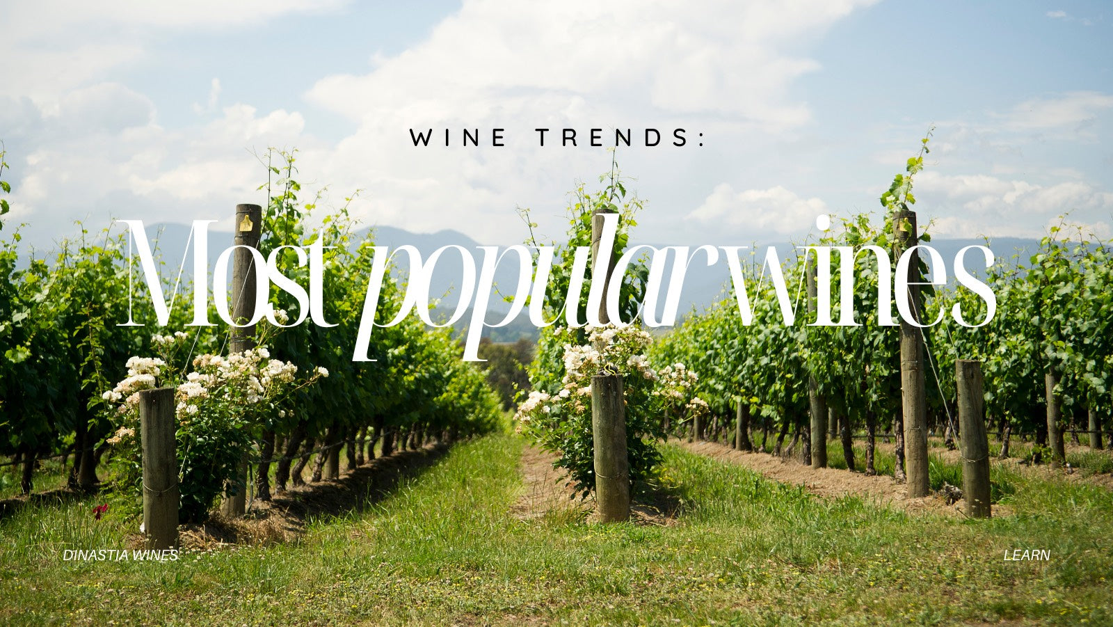 The Most Popular Wines in Australia Revealed